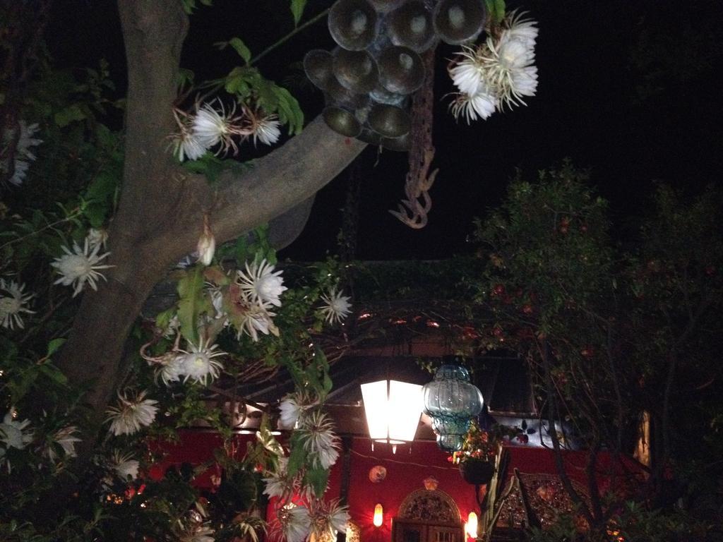 Casa De Las Flores Tlaquepaque Exterior photo
