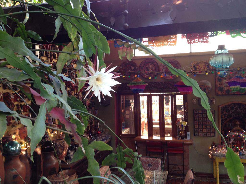 Casa De Las Flores Tlaquepaque Exterior photo