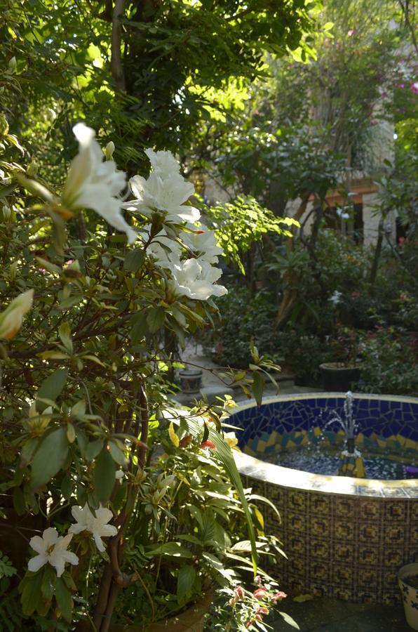 Casa De Las Flores Tlaquepaque Exterior photo