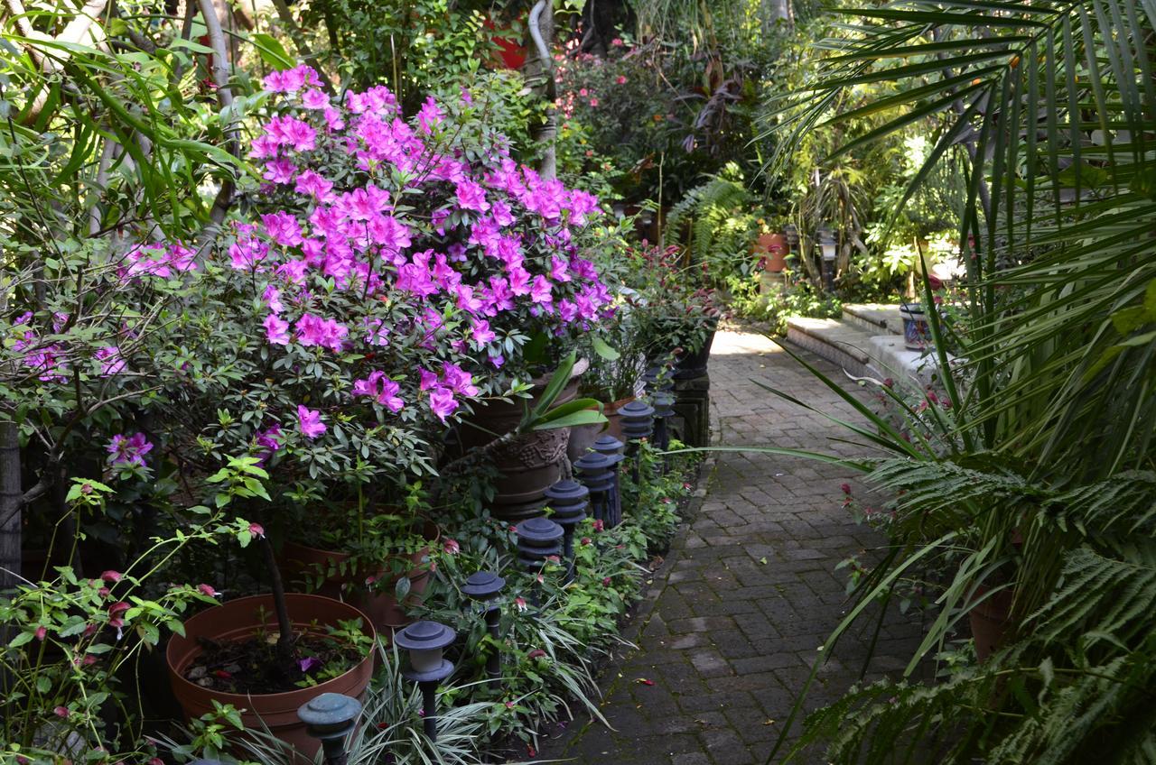 Casa De Las Flores Tlaquepaque Exterior photo